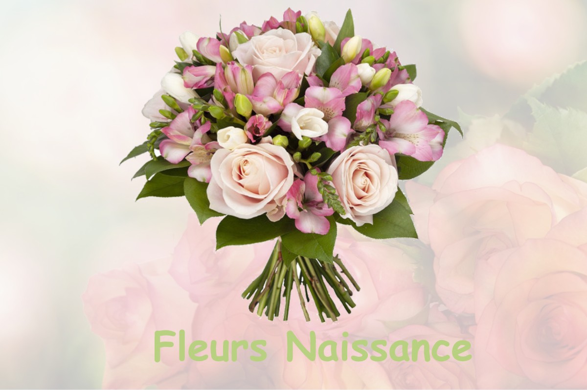fleurs naissance MARSANNAY-LE-BOIS